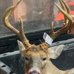 Meet your Posher, Jonathan